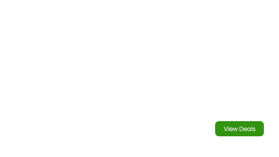 Special Offers